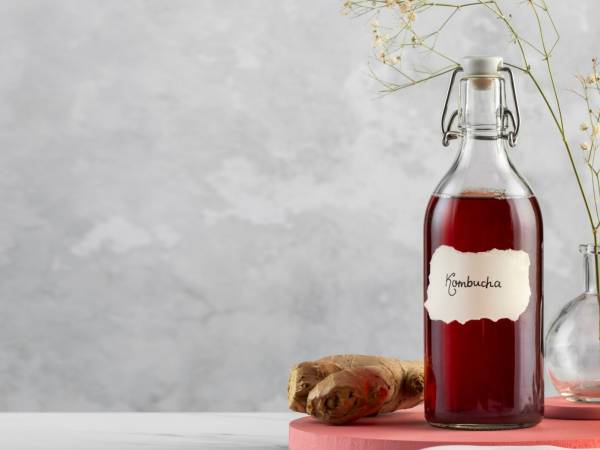 Kombucha: alt, hvad du behøver at vide om øjeblikkets fermenterede drik